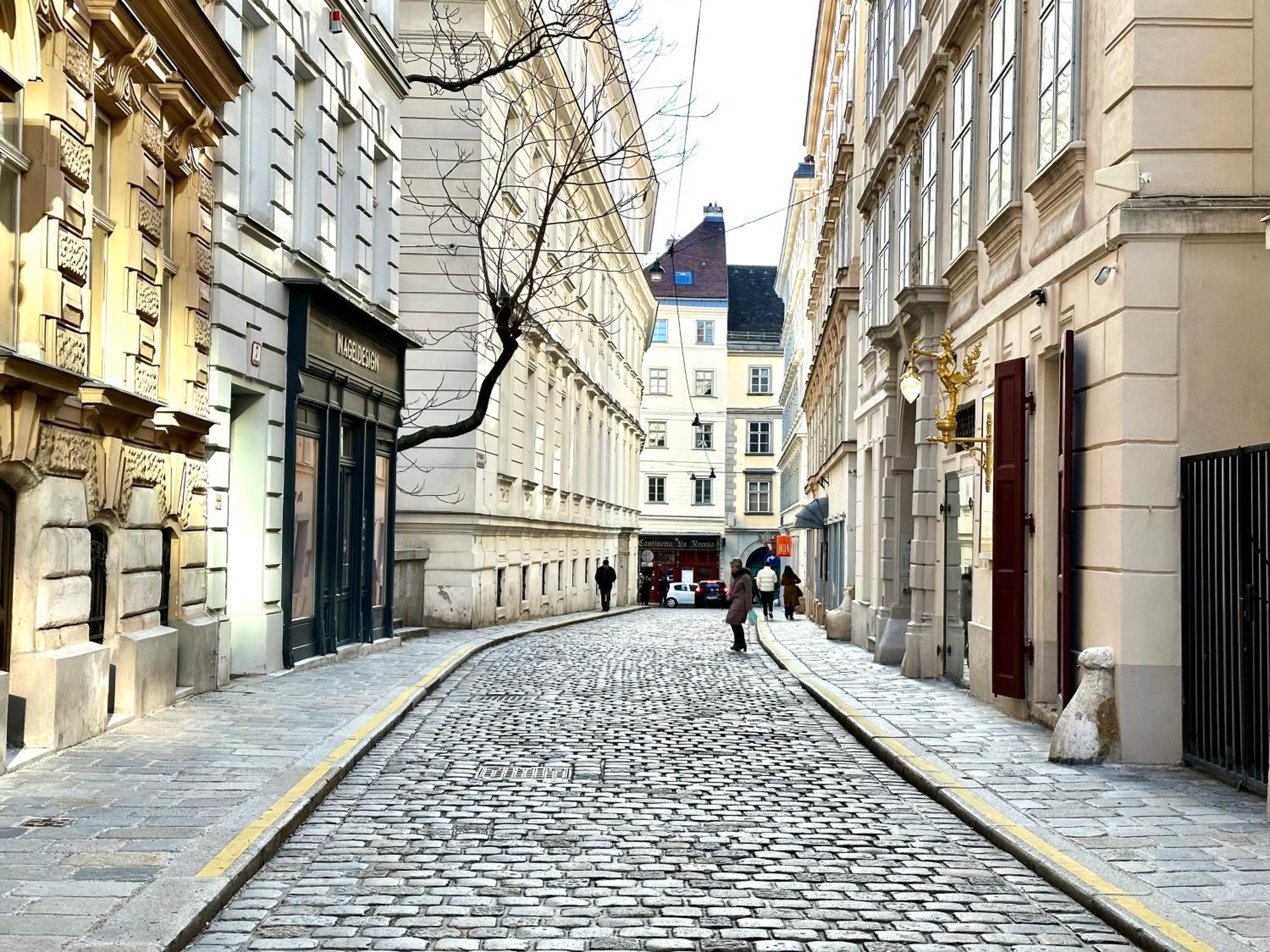 Central Stephansdom Apartment I Netflix I Self Check In Wenen Buitenkant foto